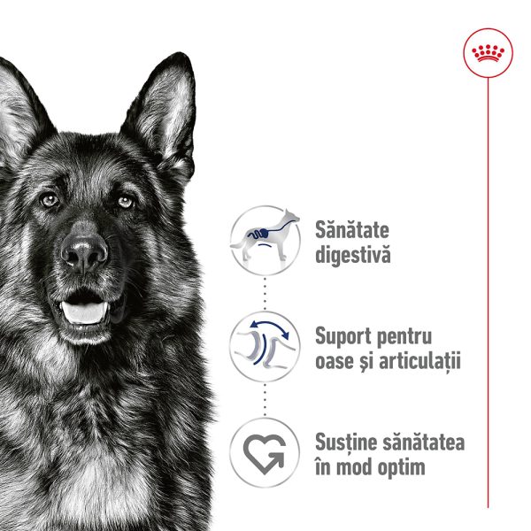 Royal Canin Maxi Adult hrana umeda caine (in sos), 10 x 140 g 1 Royal Canin Maxi Adult hrana umeda caine (in sos), 10 x 140 g