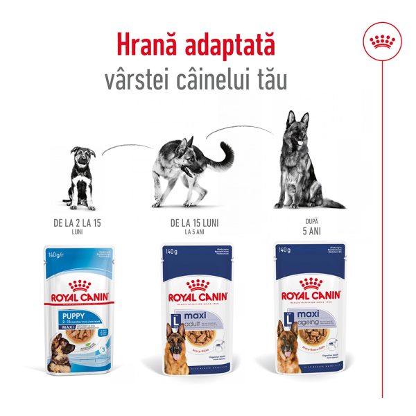 Royal Canin Maxi Adult hrana umeda caine (in sos), 10 x 140 g 3 Royal Canin Maxi Adult hrana umeda caine (in sos), 10 x 140 g