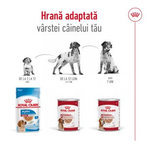 Royal Canin Medium Adult hrana umeda caine (pate), 10 x 140 g