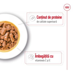 Royal Canin Medium Adult hrana umeda caine (in sos), 10 x 140 g 12 Royal Canin Medium Adult hrana umeda caine (in sos), 10 x 140 g