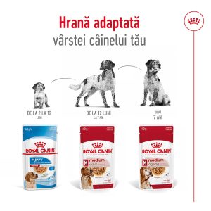 Royal Canin Medium Adult hrana umeda caine (in sos), 10 x 140 g 11 Royal Canin Medium Adult hrana umeda caine (in sos), 10 x 140 g