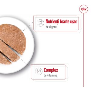 Royal Canin Mini Adult hrana umeda caine (pate), 85 g