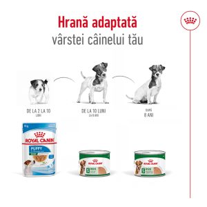 Royal Canin Mini Adult hrana umeda caine (pate), 85 g