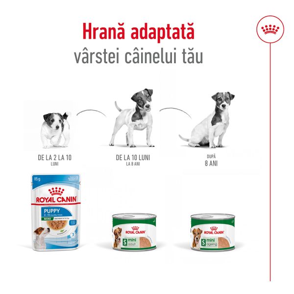 Royal Canin Mini Adult hrana umeda caine (pate), 85 g