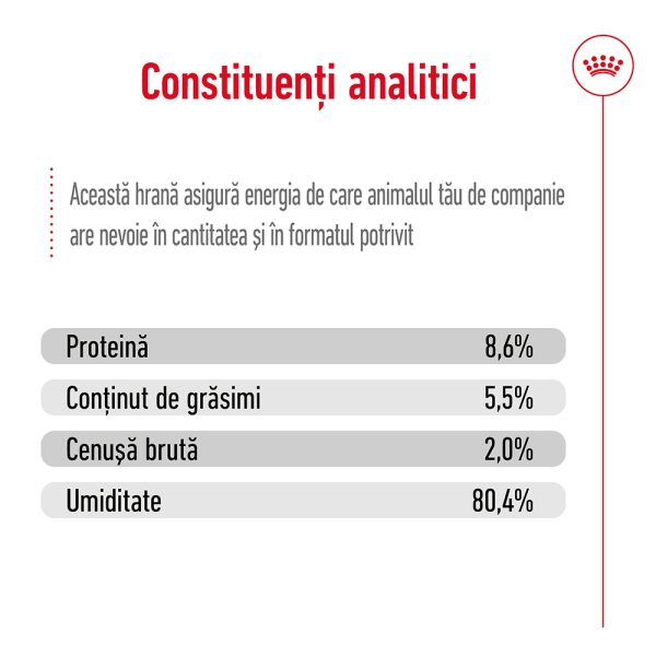 Royal Canin Mini Adult hrana umeda caine (pate), 85 g