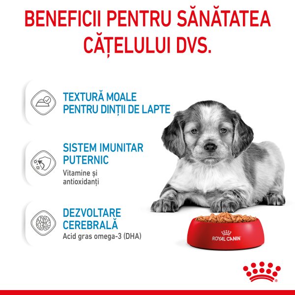 Royal Canin Medium Puppy hrana umeda caine junior (in sos), 10 x 140 g