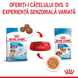 Royal Canin Medium Puppy hrana umeda caine junior (in sos), 10 x 140 g