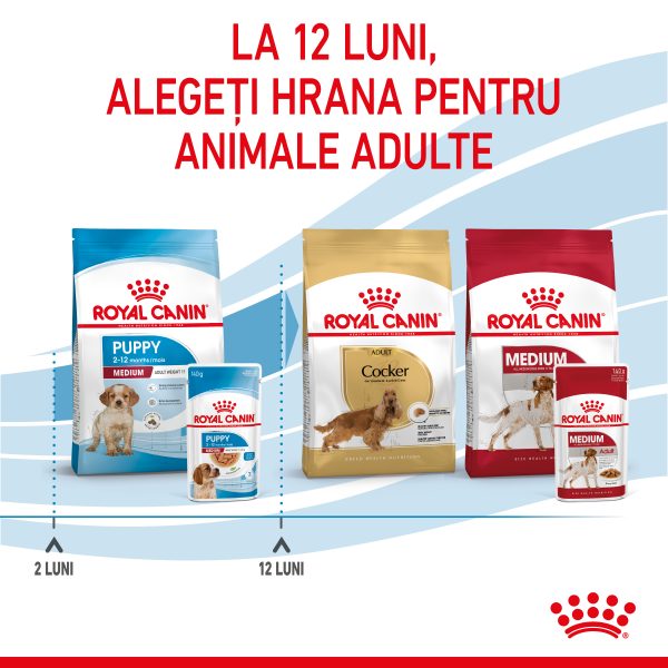 Royal Canin Medium Puppy hrana umeda caine junior (in sos), 10 x 140 g