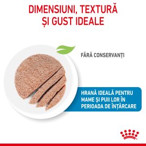 Royal Canin Starter Mousse, mama si puiul, hrana umeda caine (textura spumoasa), 195 g