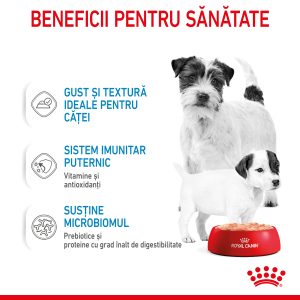 Royal Canin Starter Mousse, mama si puiul, hrana umeda caine (textura spumoasa), 195 g
