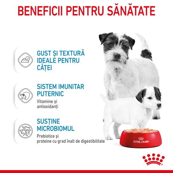 Royal Canin Starter Mousse, mama si puiul, hrana umeda caine (textura spumoasa), 195 g