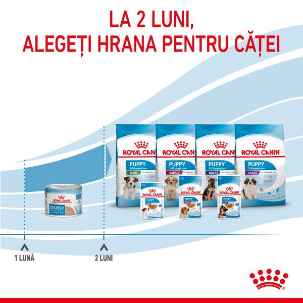 Royal Canin Starter Mousse, mama si puiul, hrana umeda caine (textura spumoasa), 195 g