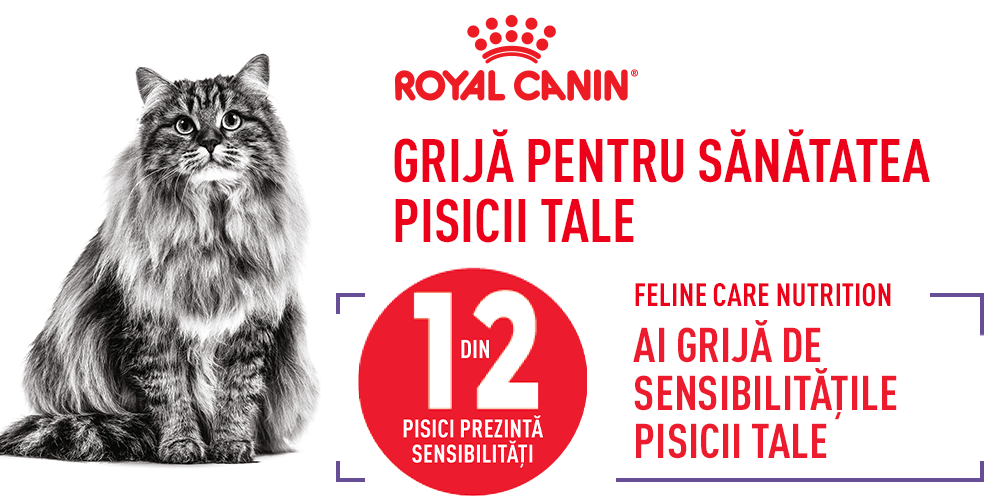 Royal Canin Hair&Skin Care Adult hrana uscata pisica, piele si blana, 2 kg