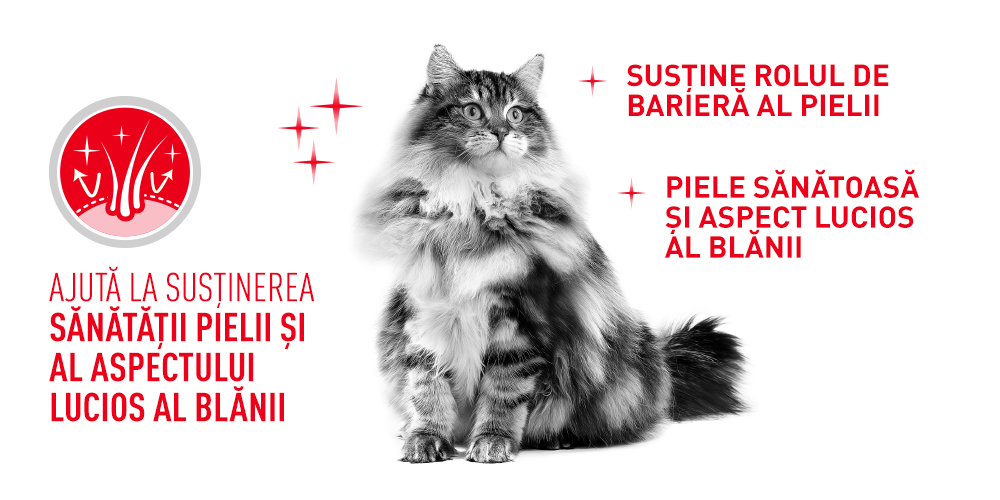 Royal Canin Hair&Skin Care Adult hrana uscata pisica, piele si blana, 2 kg