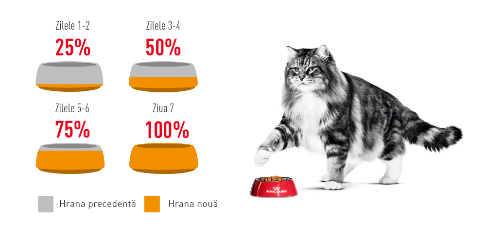 Royal Canin Hair&Skin Care Adult hrana uscata pisica, piele si blana, 2 kg