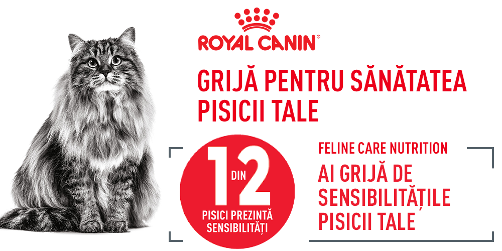 Royal Canin Hair&Skin Care Adult hrana umeda pisica, piele si blana (in sos), 12 x 85 g