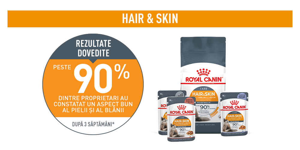 Royal Canin Hair&Skin Care Adult hrana umeda pisica, piele si blana (in sos), 12 x 85 g