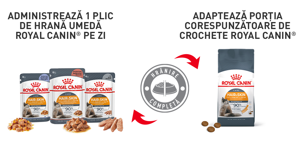 Royal Canin Hair&Skin Care Adult hrana umeda pisica, piele si blana (in sos), 12 x 85 g