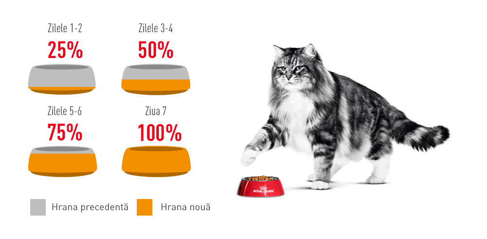 Royal Canin Hair&Skin Care Adult hrana umeda pisica, piele si blana (in sos), 12 x 85 g