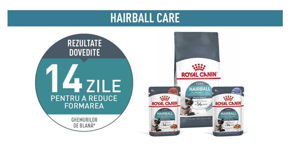 Royal Canin Hairball Care Adult hrana umeda pisica, limitarea ghemurilor de blana (in sos), 12 x 85 g