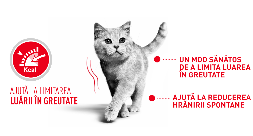 Royal Canin Light Weight Care Adult hrana uscata pisica, limitarea cresterii in greutate
