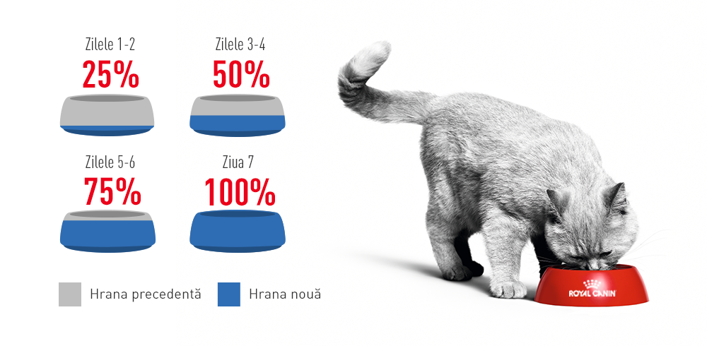 Royal Canin Light Weight Care Adult hrana uscata pisica, limitarea cresterii in greutate