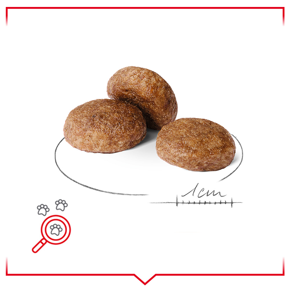 SHN Medium Adult7 Dry Zooplus module 3 1