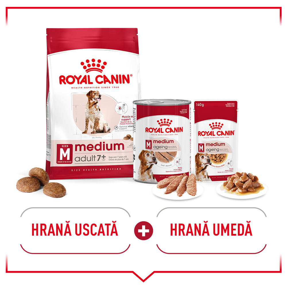 SHN Medium Adult7 Dry Zooplus module 4 1