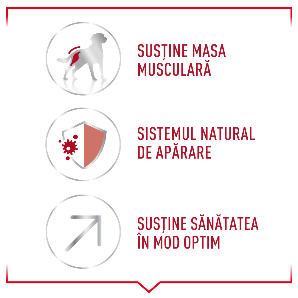 SHN Medium Adult7 Dry Zooplus module 5 1