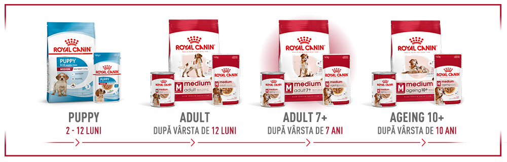 SHN Medium Adult7 Dry Zooplus module 6 1