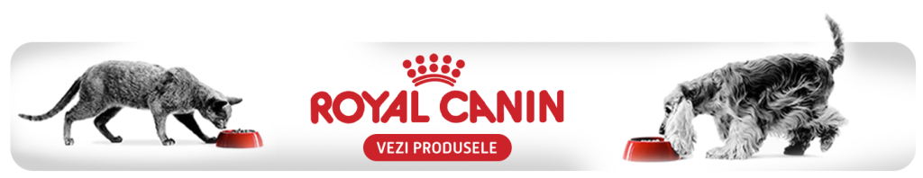 royal canin jesy pet