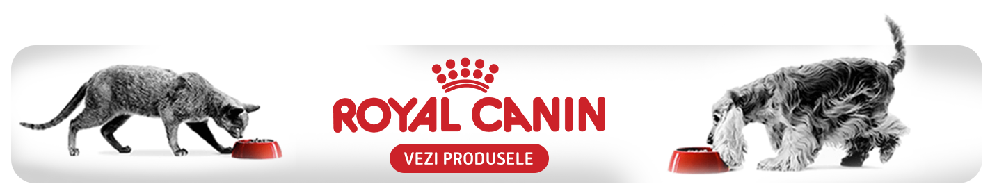 royal canin jesy pet