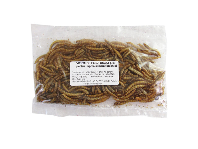 Exotic-K Exo Viermi de Faina Uscat Plic