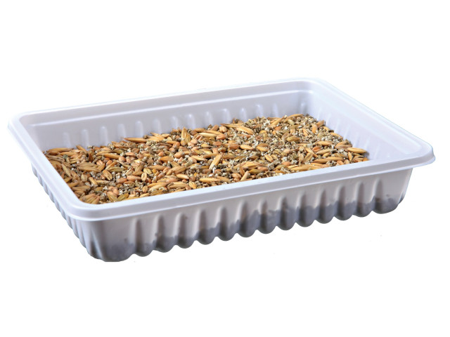 Trixie Iarba Pentru Rozatoare 100g