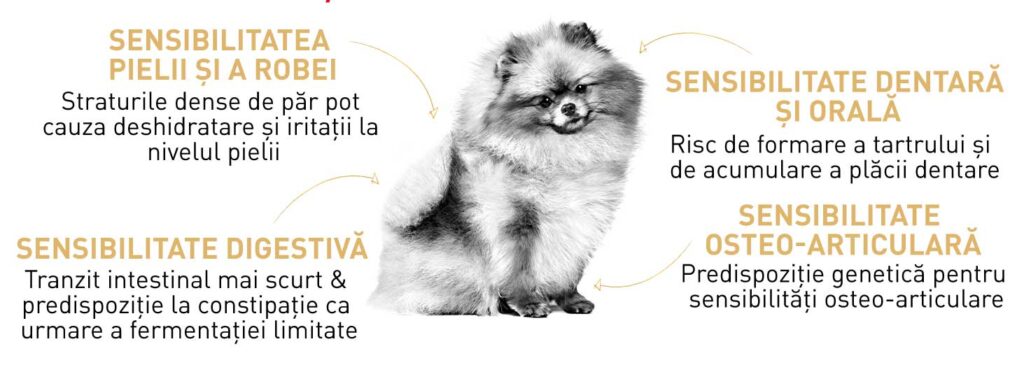 Royal Canin Pomeranian Adult, hrana uscata caini, 1.5kg