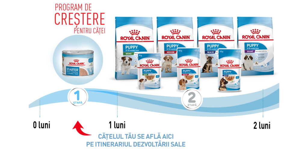 SOL STARTER MOUSSE PUPPY ENHANCED CONTENT RO 02