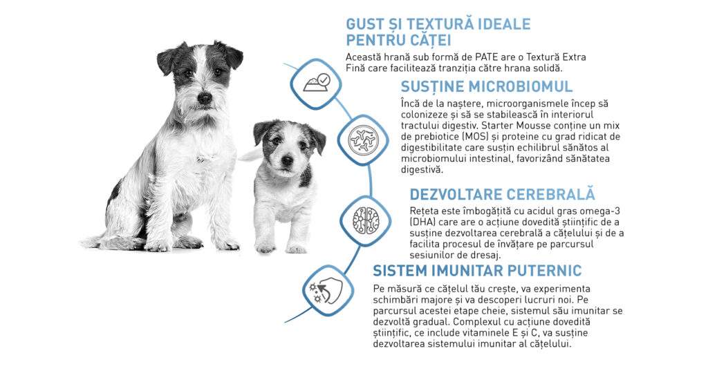 SOL STARTER MOUSSE PUPPY ENHANCED CONTENT RO 03