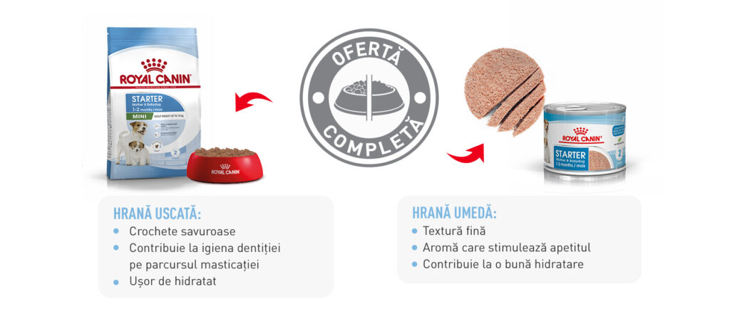 SOL STARTER MOUSSE PUPPY ENHANCED CONTENT RO 05