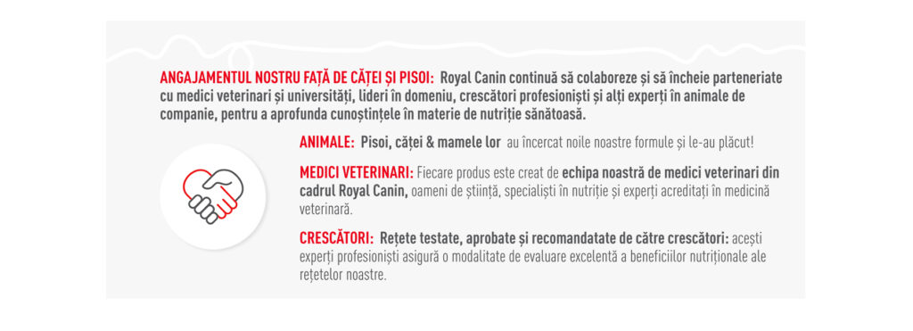 SOL STARTER MOUSSE PUPPY ENHANCED CONTENT RO 06