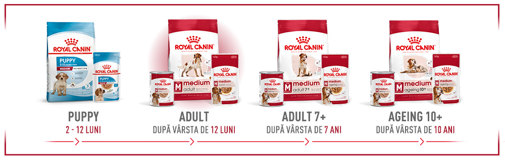 Royal Canin Medium Adult hrana umeda caine (in sos), 10 x 140 g 19 module 6 1 1