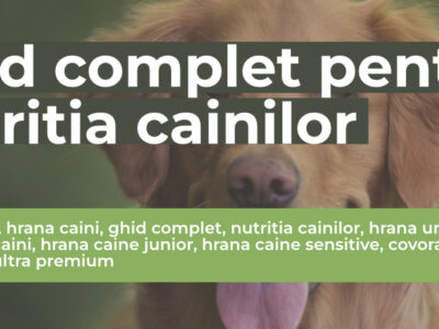 mancare caini