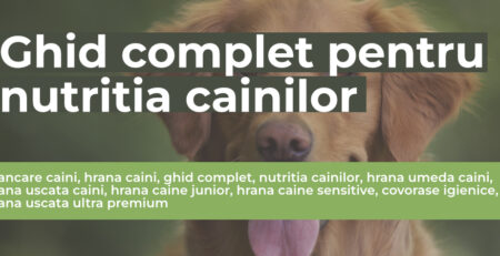 mancare caini