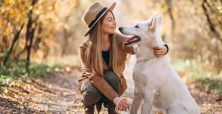 cele mai intalnite rase de caini din romania