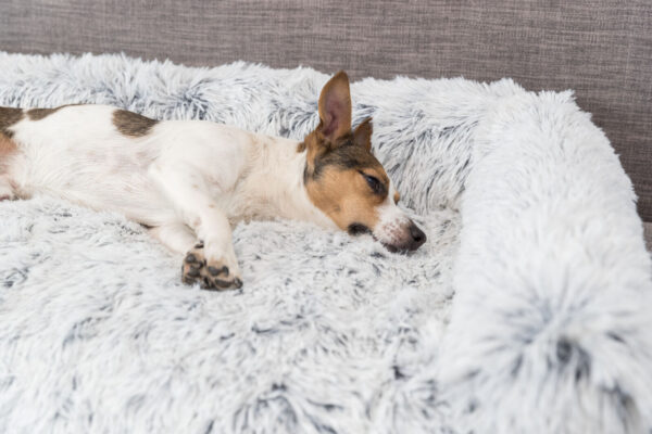 Trixie Pat Protectie Harvey 70x90 cm Alb/Negru