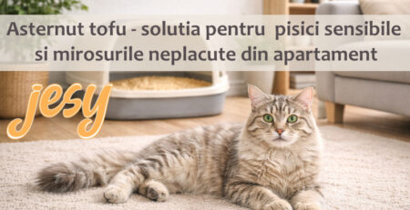 asternut pisici tofu