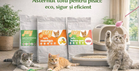 asternut tofu pisici